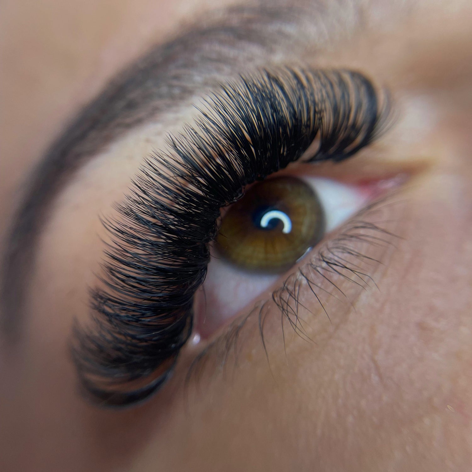 Brows & Lashes