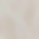 Fashion Social Media Videos